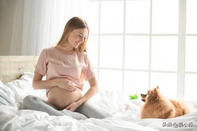 泰州宠物疾病发生调查报告:怀孕期间养狗真的会流产吗？