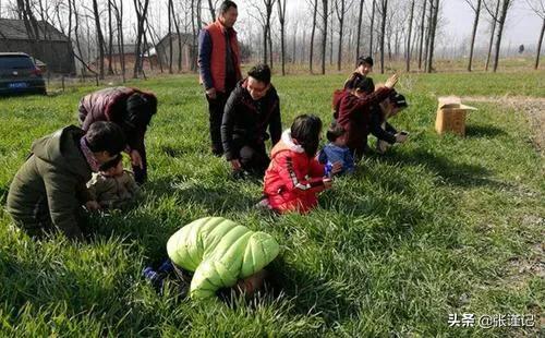 上坟为什么不能带香蕉,上坟买供品买什么水果好？