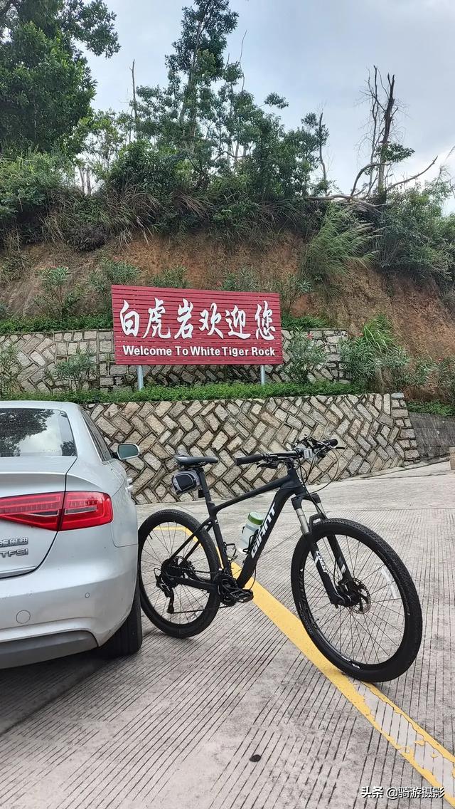 灰鼠折叠车怎么样:折叠自行车相比较山地车、公路车有哪些优缺点？