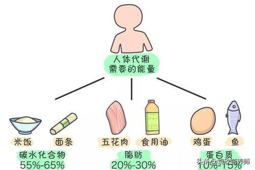 不过,理论上来说,蛋白质摄入过量还是可能造成脂肪的堆积,蛋白质分解