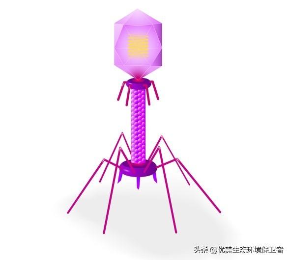 纳米机器人:纳米机器人在军事上的作用是什么