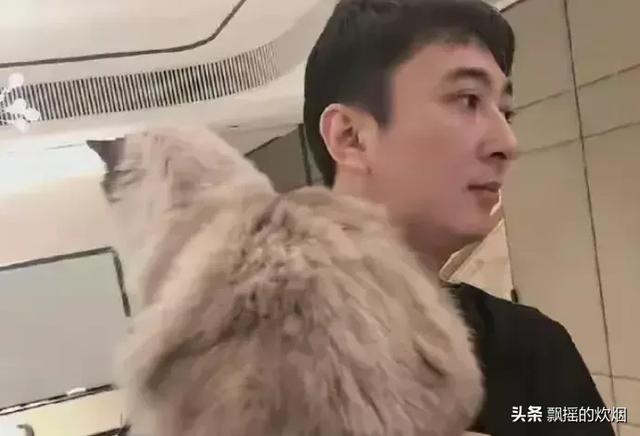 王思聪的瓜是咋回事儿？