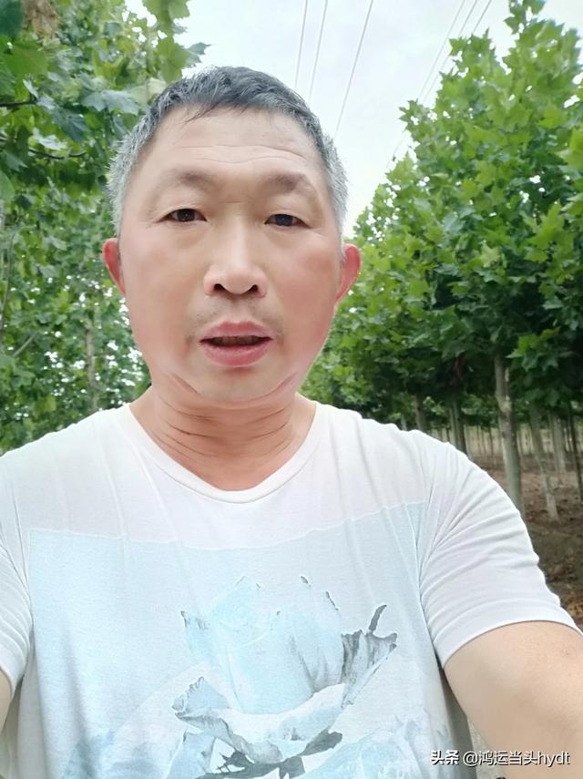 灰椋鸟 听课随感:我现在数学挺好的，但是语文经常才90几，甚至不及格，怎么办？
