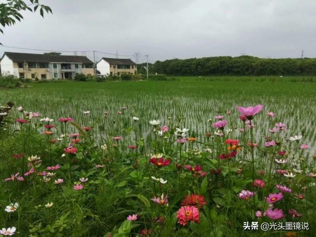上海衡山路裸拍:上海有什么鲜为人知但很有意思的景点？