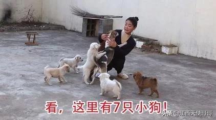 宋雨琦公布恋情:喜欢一个男明星很久了，可是他公布恋情了，还要继续喜欢吗