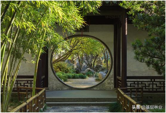 微风淡水竹:凉白开能水培绿植吗？都有哪些？