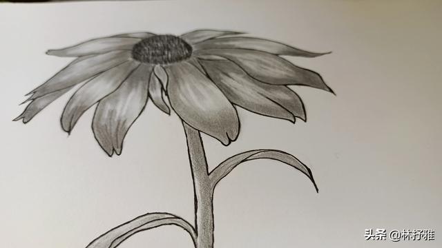 刘亦菲透视:为什么有些人上镜有些人不上镜