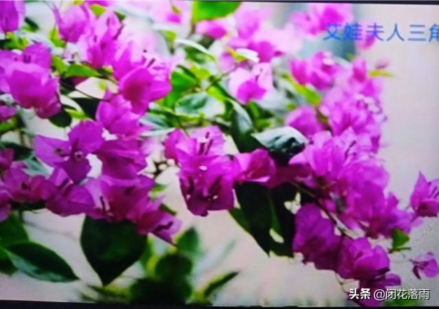 外遇稀有品种:现如今，出轨真的普遍存在吗？什么类型的人容易出轨？