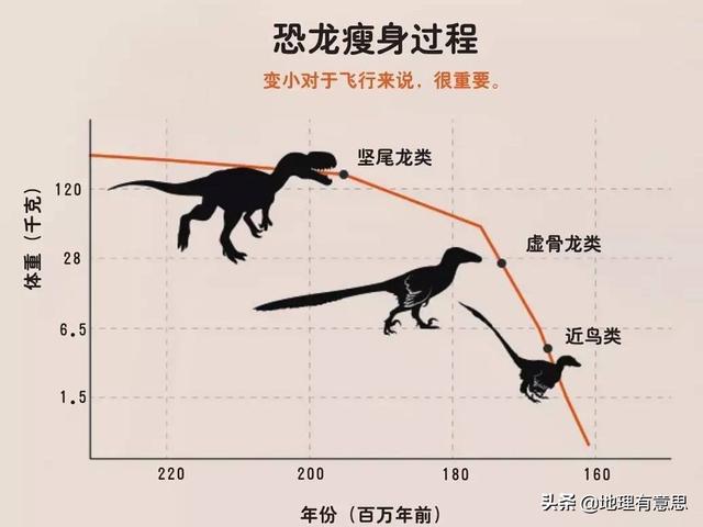 阿根廷巨鸟灭绝的原因:为什么有些大型恐龙，不能演化成鸟类？ 灭绝的巨鸟