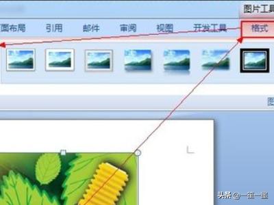 word中不显示图片，WPS、Word中不能插入图片或图片不显示