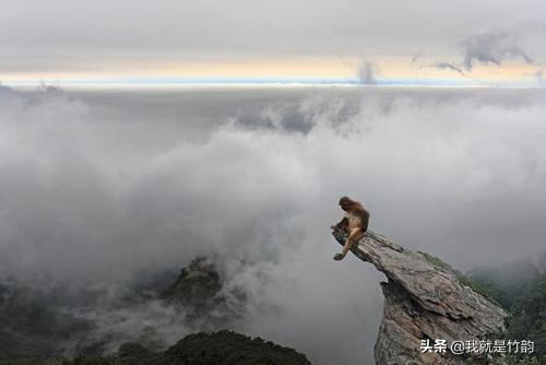 孙悟空被放出来的图片，孙悟空出生怎么变成了猴？怎么不变成别的东西？