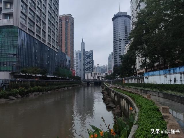 深圳宠物论坛猫:深圳立法禁食猫狗你支持吗？