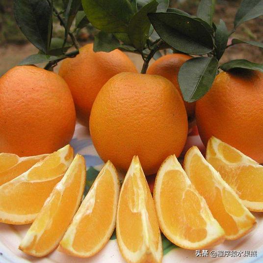 怎么吃橘子不上火，为什么吃桔子上火而吃橙子不上火