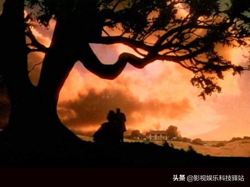 任玉瑶的《贝壳》大家为什么觉得好看？