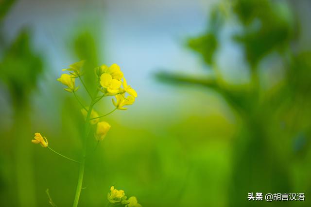 业余摄影师有哪几种赚钱模式？