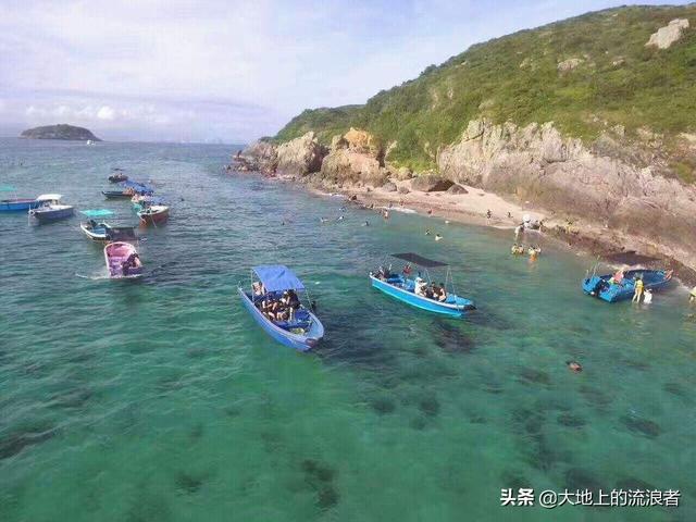 龙口爱侣宠物医院电话:狗的报复心有多强，你见过有狗报复人类的吗？