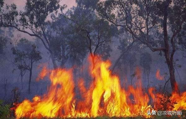 世界最大湿地遭遇严重火灾-世界最大湿地遭大火