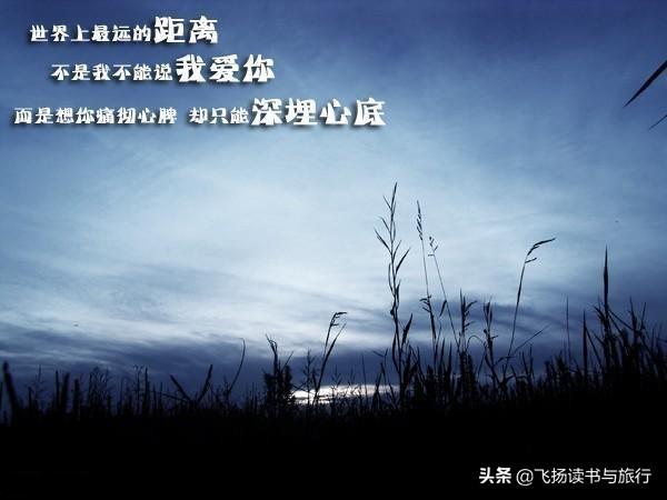 世界上最遥远的距离这首诗作者是不是泰戈尔,听说好像是张小娴？为什么？