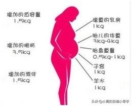 孕晚期是胎儿猛涨期吗？具体是哪几个周？插图4