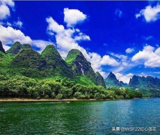 家养龟的种类:新手想养个乌龟，选择什么品种最好？