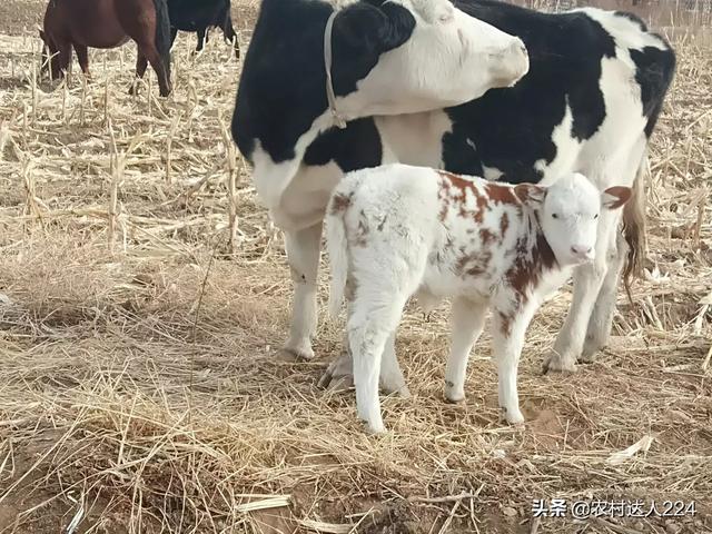 脊椎病速效自疗:脊椎不太好，有什么好的床垫可推荐吗？