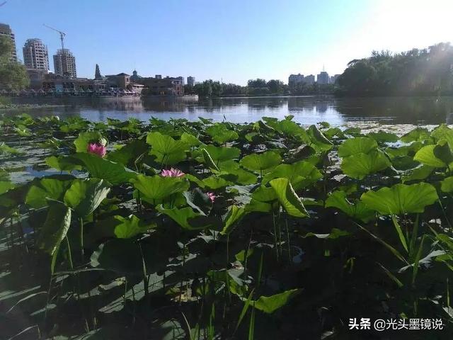 上海衡山路裸拍:上海有什么鲜为人知但很有意思的景点？