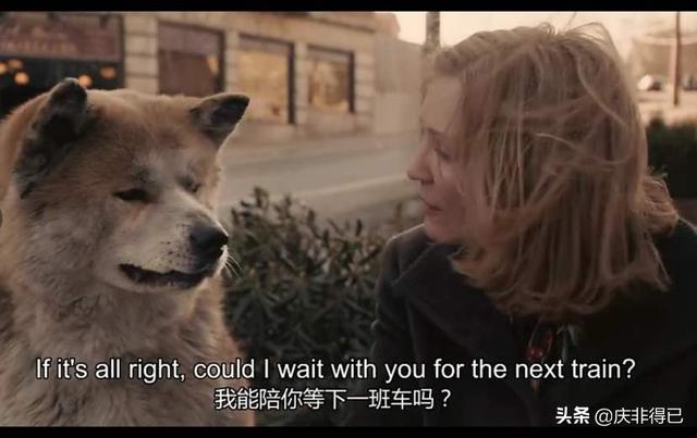 粉红猫咪电影迅雷下载:影视领域创作者都是从哪里获取视频素材的？
