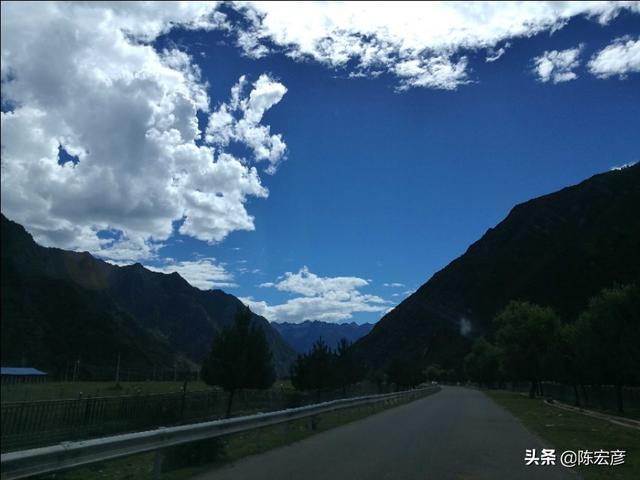 萨顶顶闪婚:我身边有很多闪婚的朋友，闪婚后又想闪离，是什么原因？