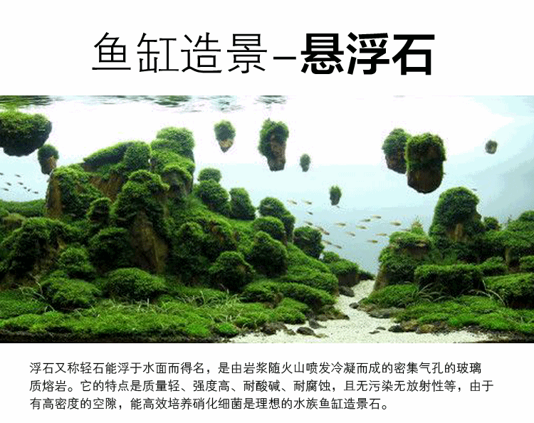 带盖水族箱造景:悬空鱼缸的景色怎么布置？