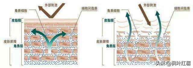 化妆水是不是爽肤水:化妆水和爽肤水什么区别有什么作用