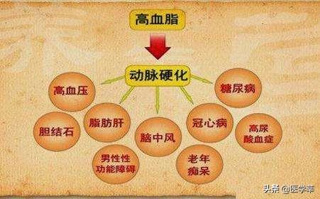 春季高血脂养生,适合高血脂人群的运动有哪些?需要注意什么?
