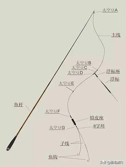 霸王刺皮鱼钓鱼熟练:霸王棘皮鱼哪里能钓到 鱼漂吃铅少，不易抛竿怎么办？
