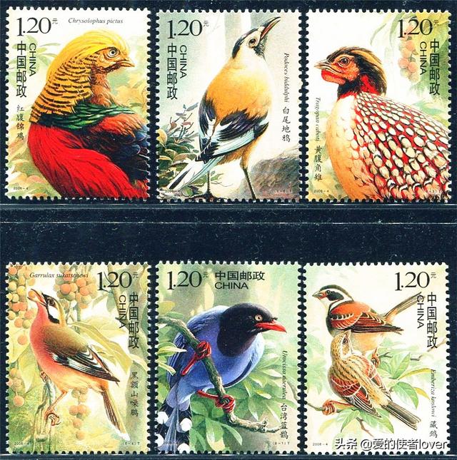 台湾蓝鹊图片:《中国鸟》邮票有何收藏价值，一张值多少钱？