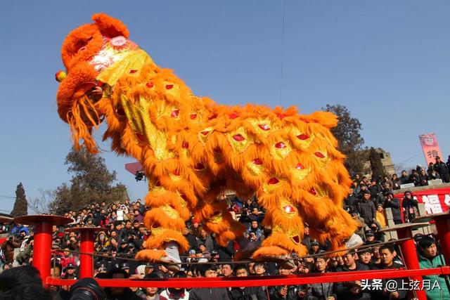 民间舞狮:中国没有狮子，为什么民间会有耍狮子的活动