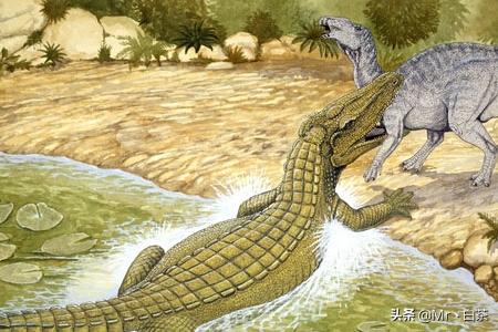 普鲁斯鳄最大有几米:史前四大最大型鳄鱼排名，帝鳄生吞霸王龙（水中霸主）？