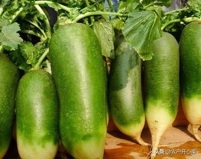 冬季蔬菜怎么处理好吃又不坏，在广大农村，冬天最容易储存的蔬菜有哪些？