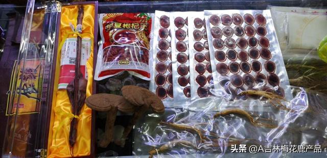 宠物与我任我淫:养宠物可以让人心怀怜悯之心，你认同吗？