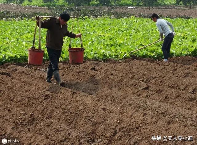 现在广西农村做什么赚钱，广西农村适合种植什么希望生长期短一些，尽快能有收成的那种