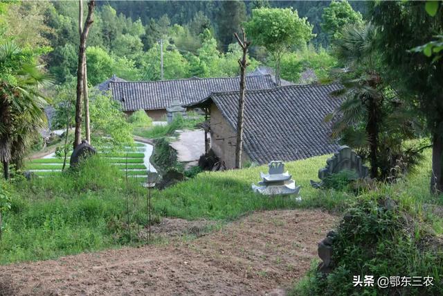 坟墓风水10大禁忌,请问农村里建坟有什么顾忌和讲究？