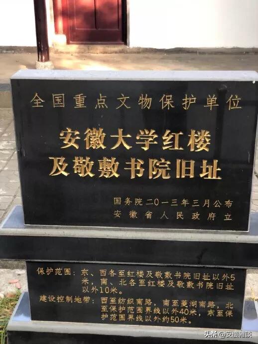 合肥拍摄斑鱼狗:合肥大蜀山发现罕见大蛇，怎么回事？