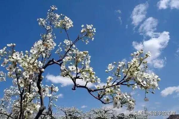蜀锦地衣丝步障:情侣之间最喜欢的小动作有哪些？