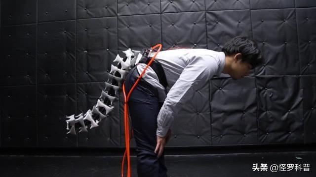 直立无毛猿:在从猿到人的进化过程中，尾巴为什么没有了？