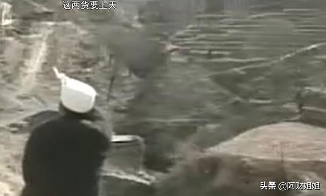 贺红梅:今年的央视春晚哪个节目最好看