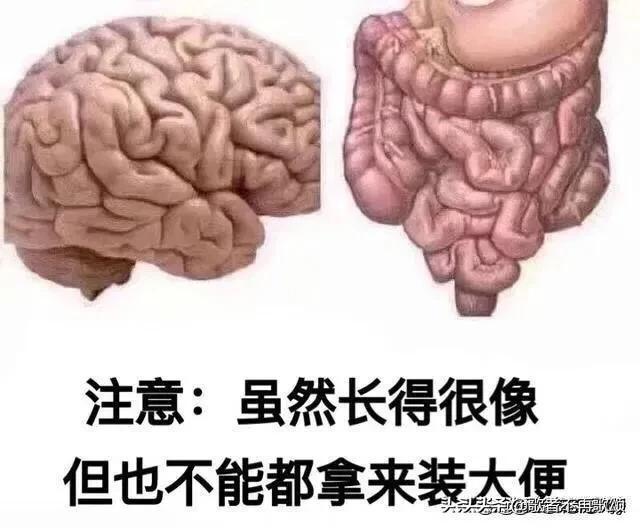 大家有哪些怼人的表情包分享？