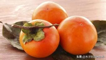 什么品种的柿子又甜又好吃，什么品种的柿子做柿子饼比较好吃？