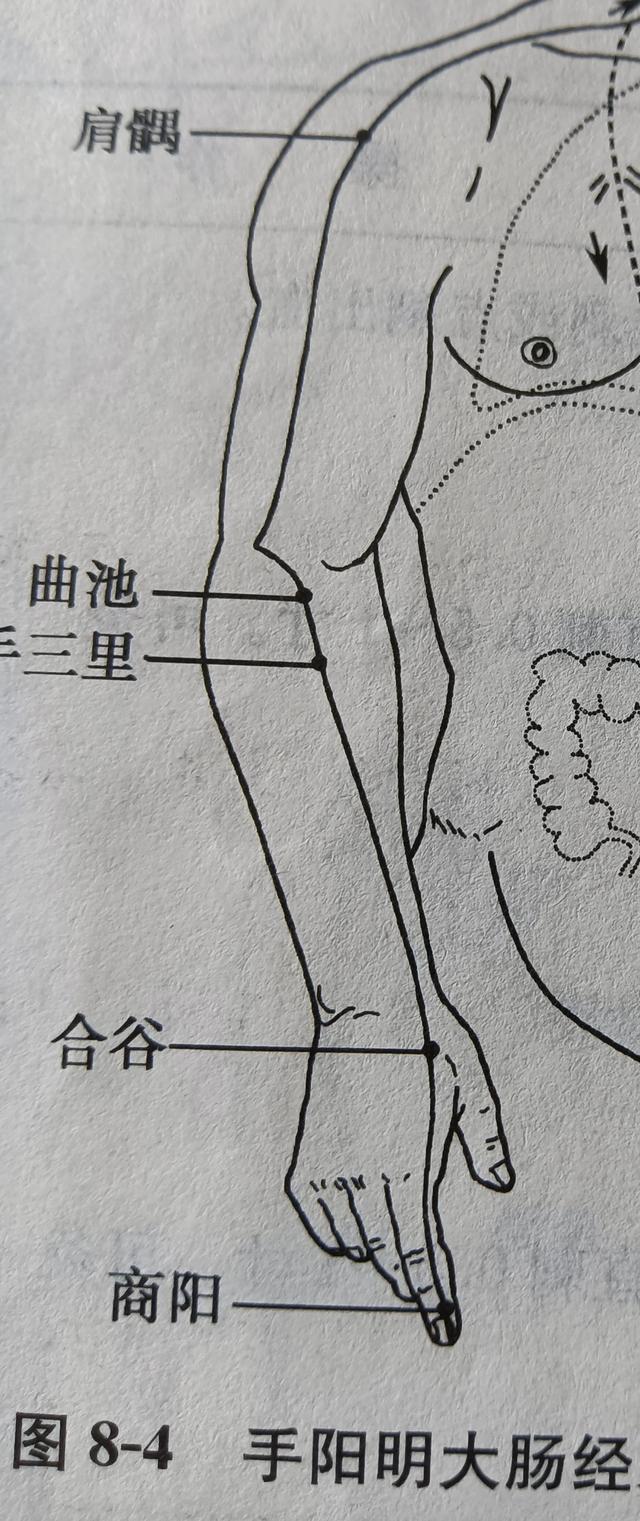 五指如何对应五脏？