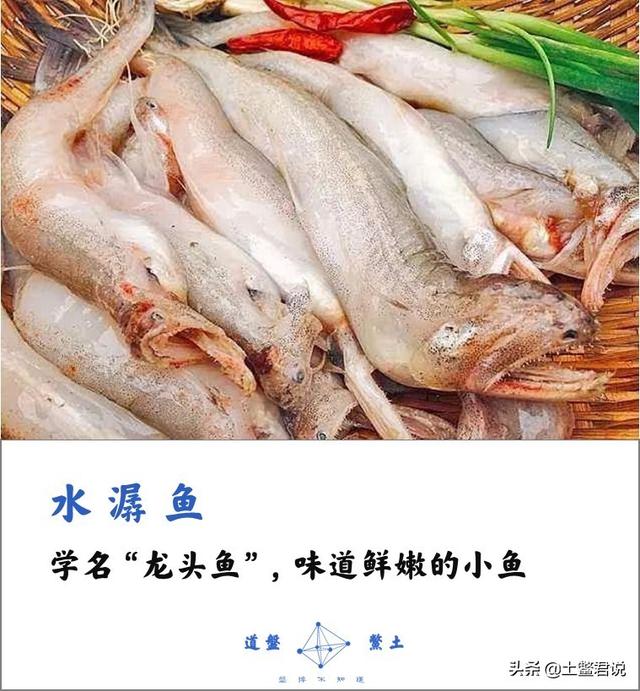 龙趸王:中国四个海哪个海里的海鲜好吃，为什么