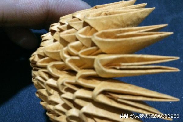 狗狗教程:训狗教程：正确训练狗狗的技巧？