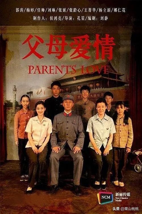 像《正阳门下》《鸡毛飞上天》这样好看的国产电视剧还有哪些？