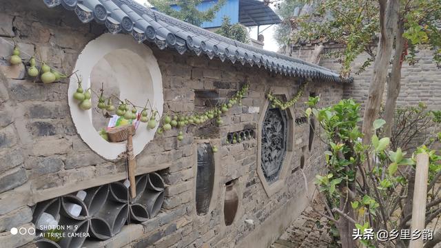 怎么做院子围墙又便宜又好看？插图17